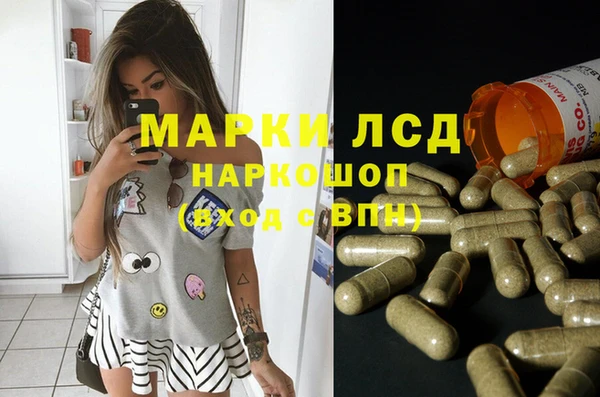 герыч Тайга