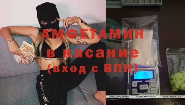 индика Верхний Тагил