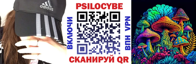 купить  цена  Черкесск  Галлюциногенные грибы Psilocybine cubensis 