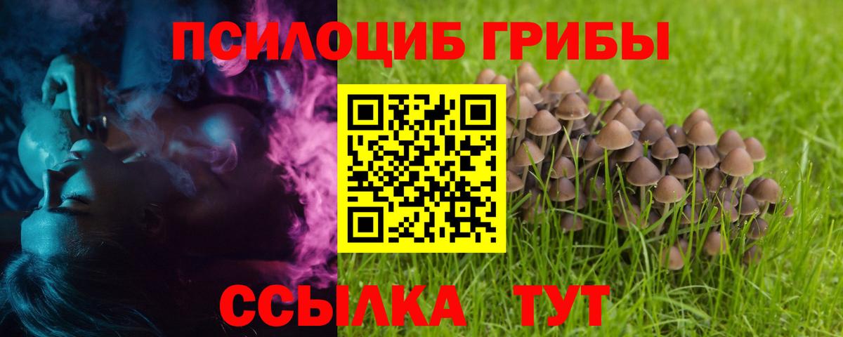 Черкесск  Псилоцибиновые грибы Psilocybe  Вход с VPN  Псилоцибиновые грибы ЛСД 